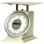 View: 10100 Heavy-Duty Receiving Scale 
